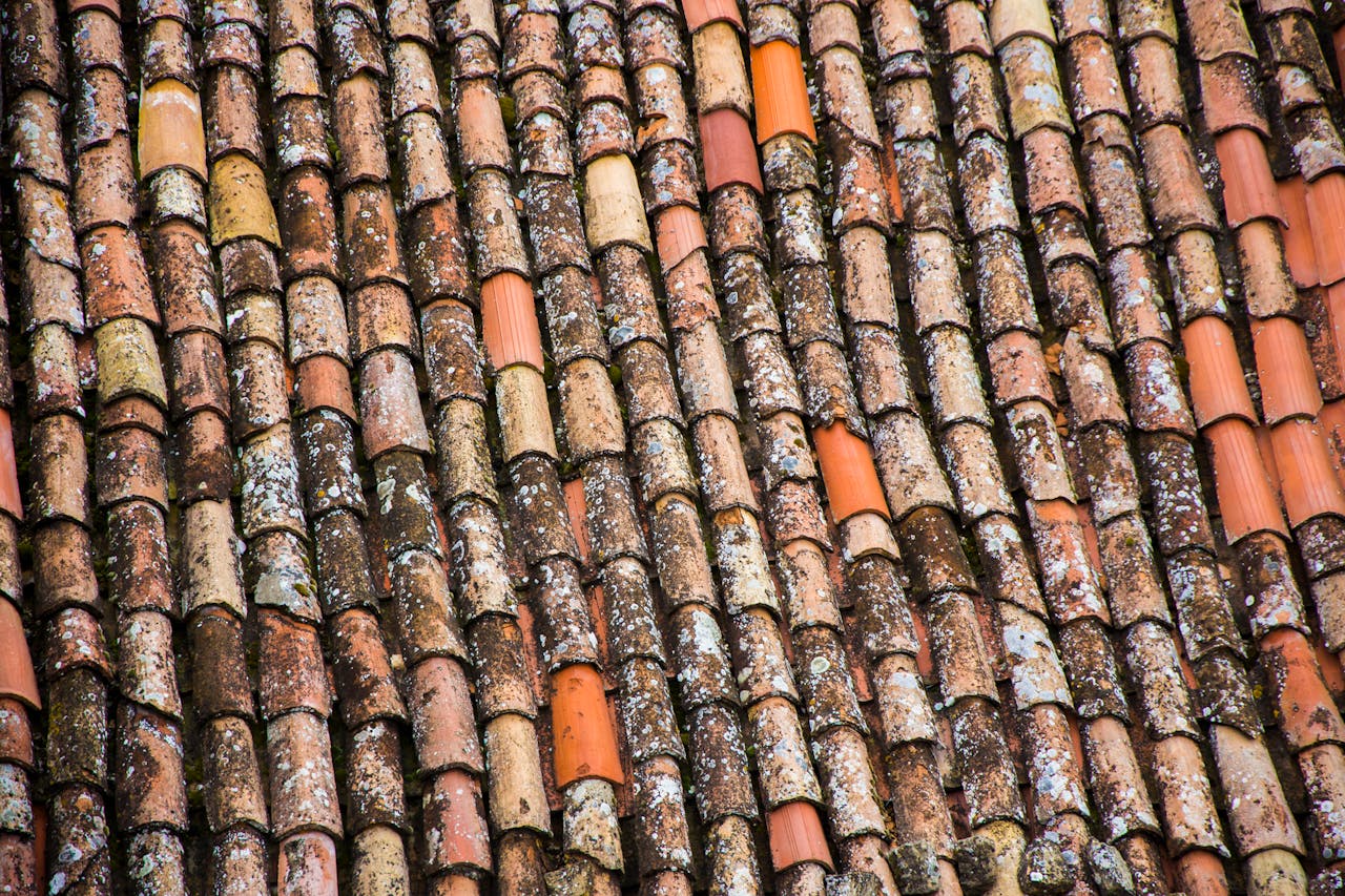 brand-01 Detailed view of weathered terracotta roof tiles showcasing patterns and textures.